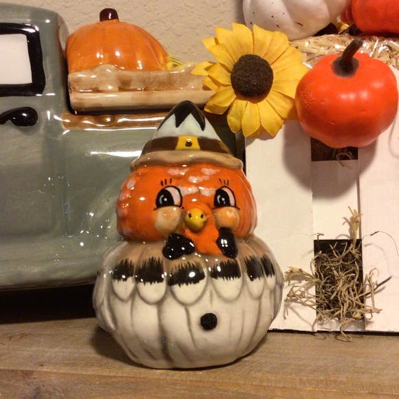 Johanna Parker turkey and owl Salt & Pepper Shakers 🍁 - Picture 8 of 16